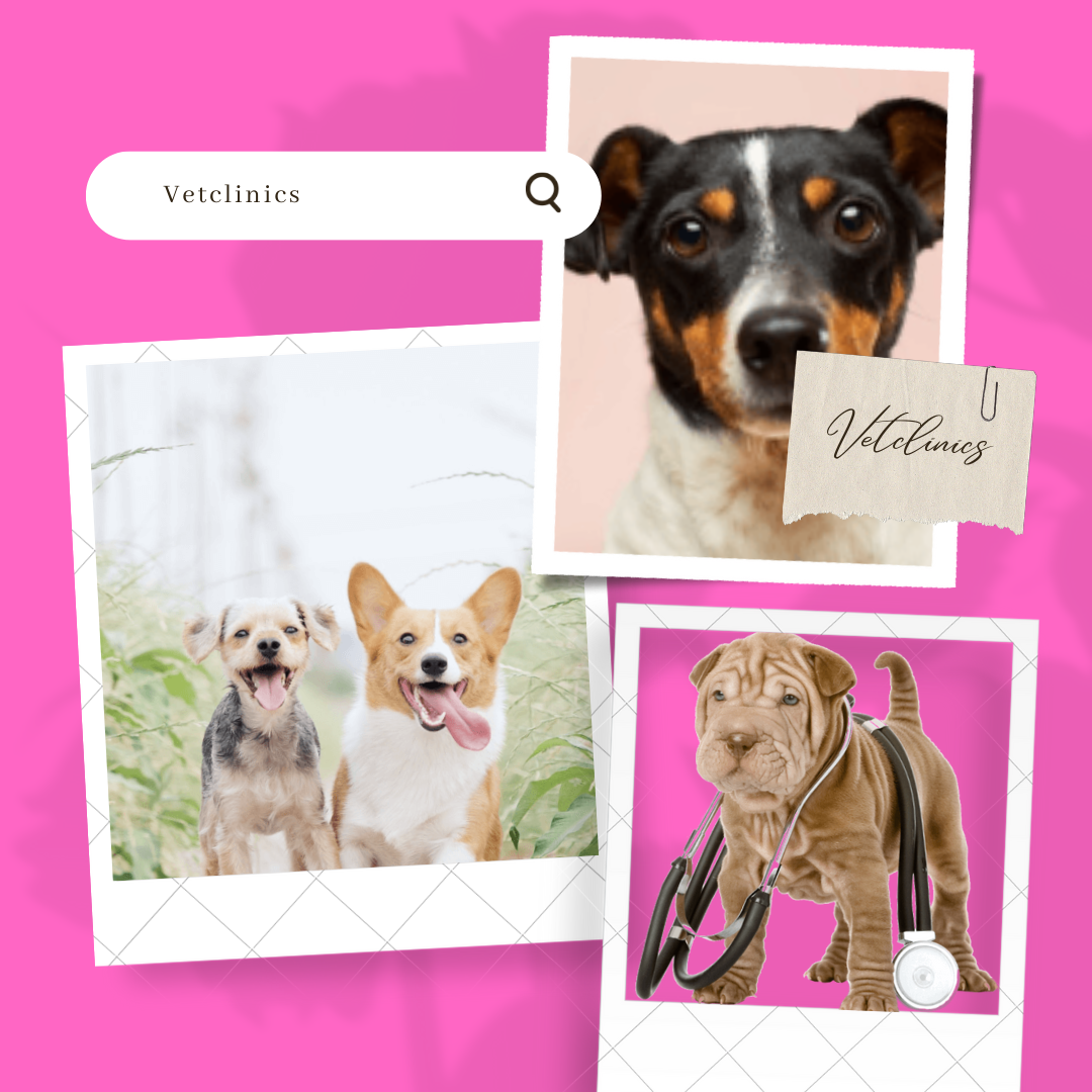 Vetclinics